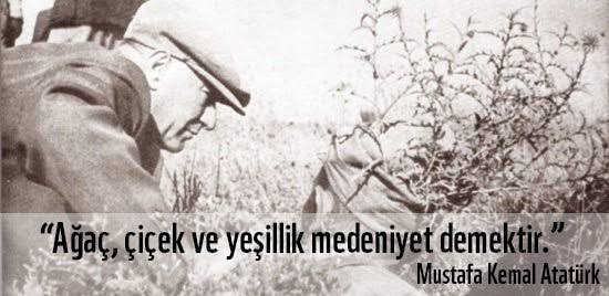 Ormansız Bir Yurt ,
Vatan Değildir...

-Mustafa Kemal ATATÜRK

Kuttu Künler
Asil Ülkemin Asil Türkleri