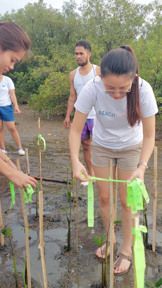 PonceLharz's tweet photo. We planted mangrove shelters again, a habitat that serves as nesting, breeding, nursing for local wildlife. 😊🌱🌱🌱
#BeachAction #ActOnClimate #SaveOurOceans $Beach #BeachCollective #SaveOurSeas

https://t.co/1KnufH2p36 https://t.co/2nHWG0vHCe