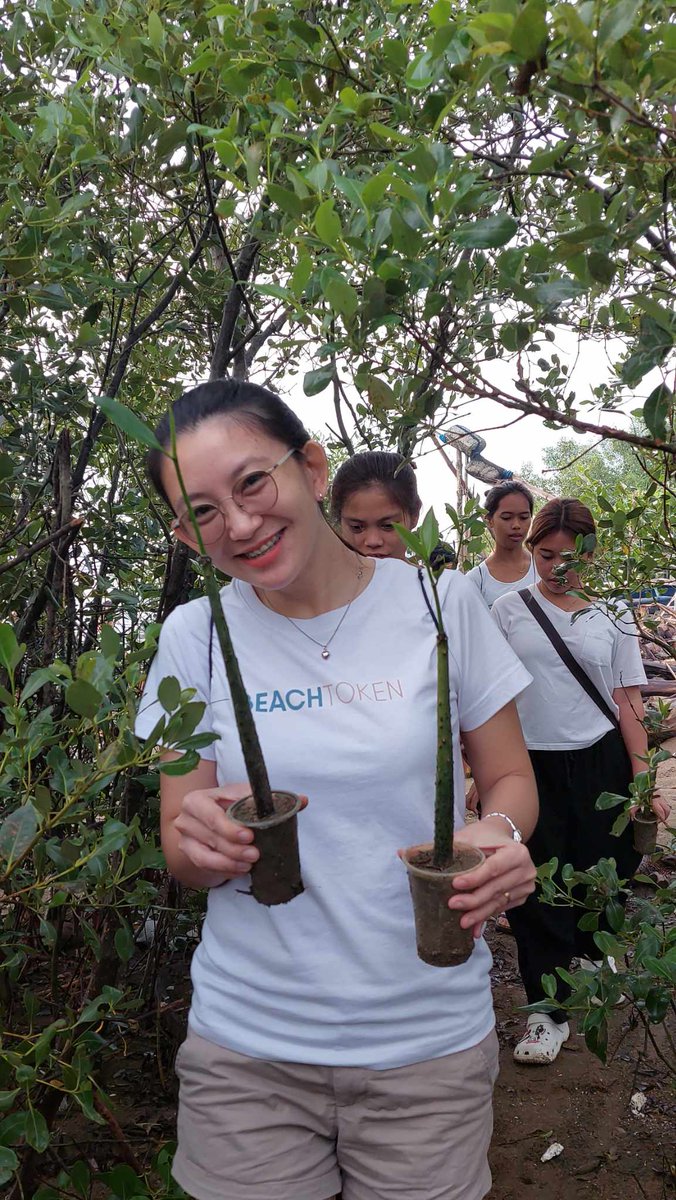 PonceLharz's tweet photo. We planted mangrove shelters again, a habitat that serves as nesting, breeding, nursing for local wildlife. 😊🌱🌱🌱
#BeachAction #ActOnClimate #SaveOurOceans $Beach #BeachCollective #SaveOurSeas

https://t.co/1KnufH2p36 https://t.co/2nHWG0vHCe