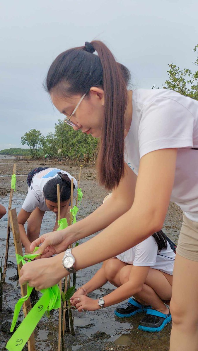 PonceLharz's tweet photo. We planted mangrove shelters again, a habitat that serves as nesting, breeding, nursing for local wildlife. 😊🌱🌱🌱
#BeachAction #ActOnClimate #SaveOurOceans $Beach #BeachCollective #SaveOurSeas

https://t.co/1KnufH2p36 https://t.co/2nHWG0vHCe