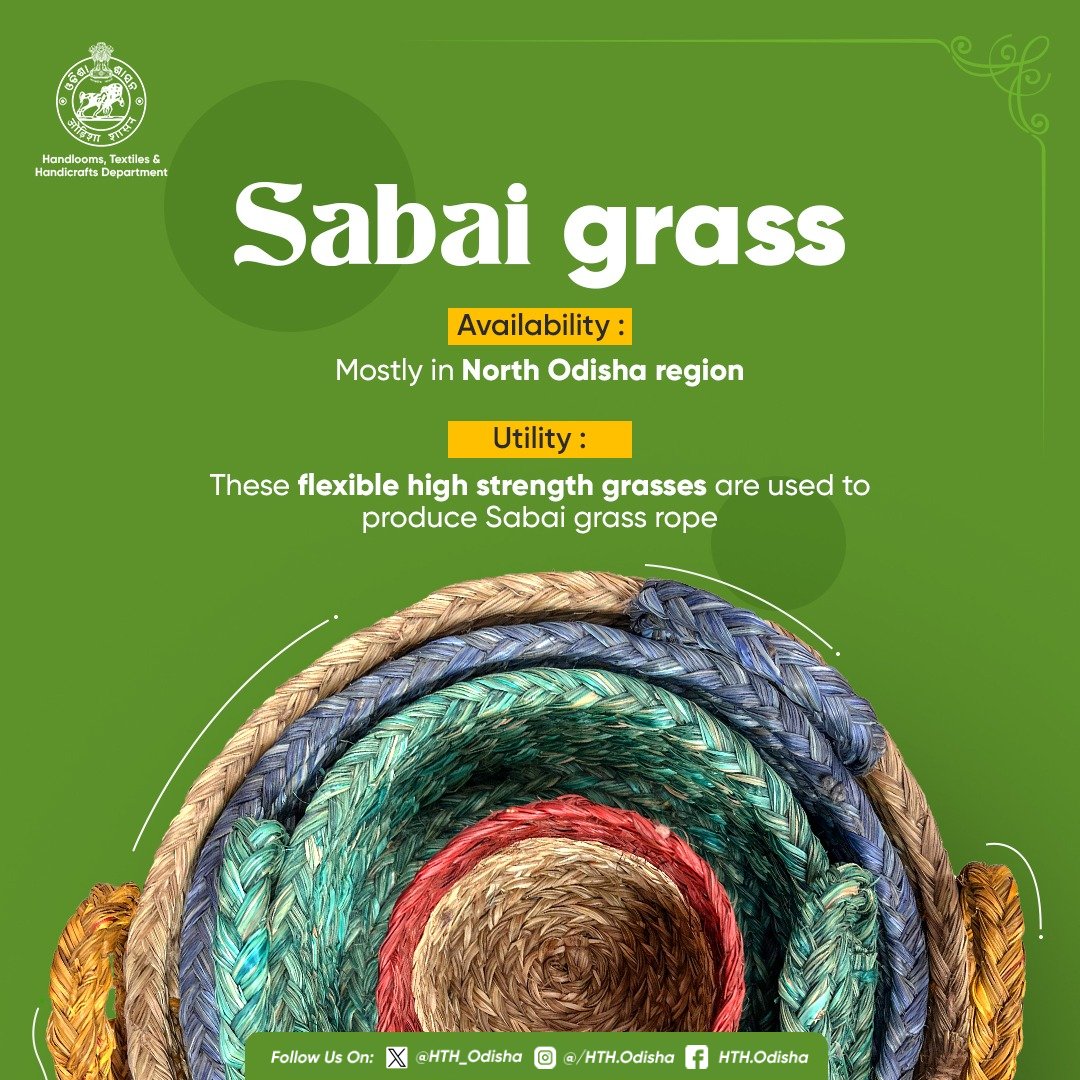 HTH_Odisha's tweet photo. A true marvel of nature, Sabai is a perennial grass which is traditionally collected by local tribals from the forests of #Mayurbhanj district. The thin & long fibrous leaves of Sabai grass are flexible with high strength and are used to make ropes. #HandicraftsOfOdisha https://t.co/fQXCWOh6Ba