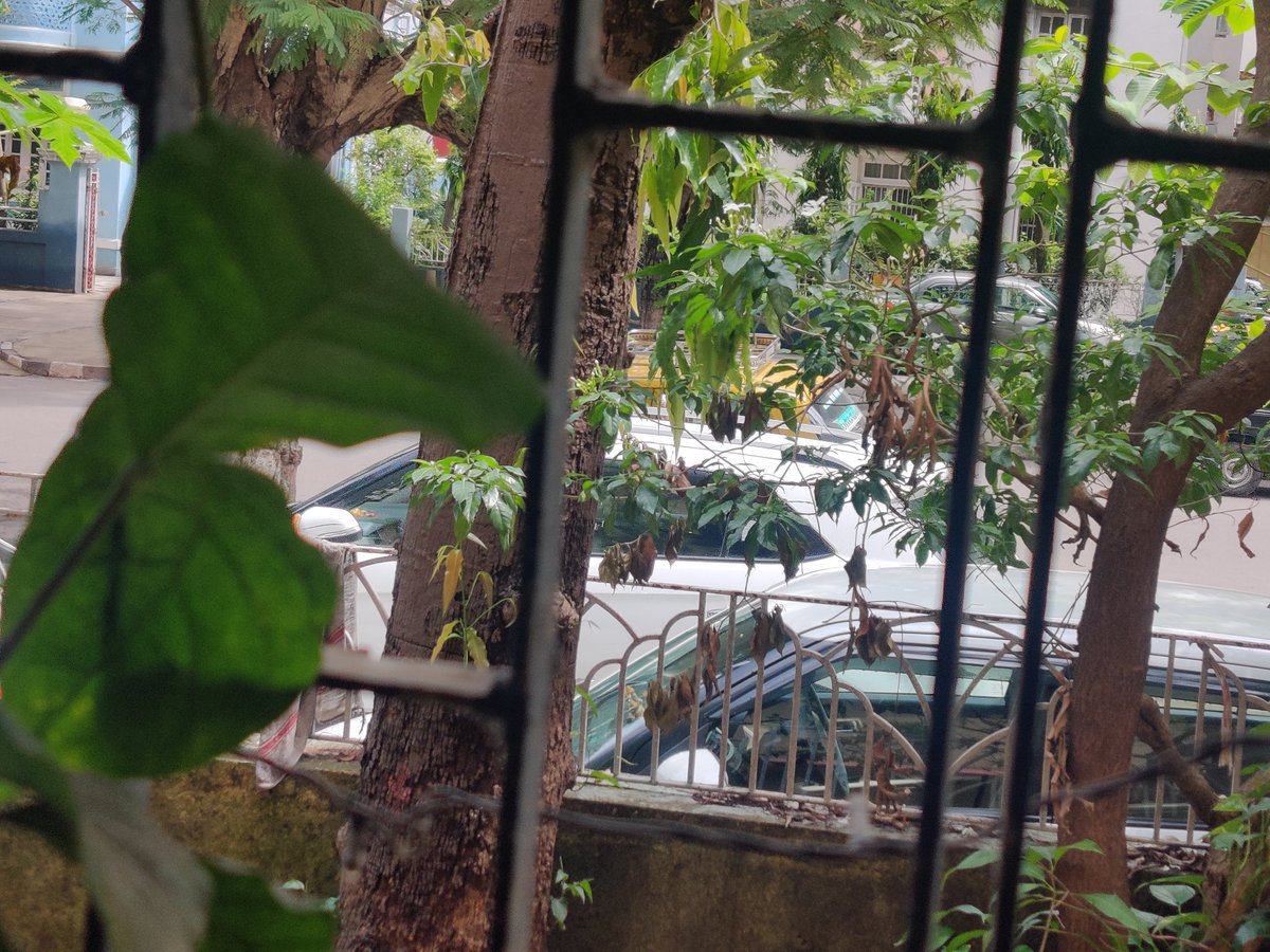 IyerMimi's tweet photo. @mybmc @mybmcWardFN @MumbaiPolice @NehalShahBJP is foothpath renovated for walking pedestrians or for parking? Pls see in pic. The Pai Hospital side foothpath on Lady Jehangir Road is used for parking by people visit Dr. Savur's Clinic. Not safe for school kids and sr. citizens. https://t.co/5dZGtXBPKk