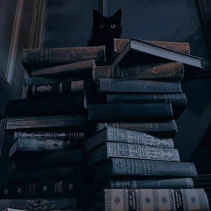 𝓟𝓻𝓸𝓯𝓮𝓼𝓼𝓸𝓻 ⋆⭒˚。⋆ tweet media