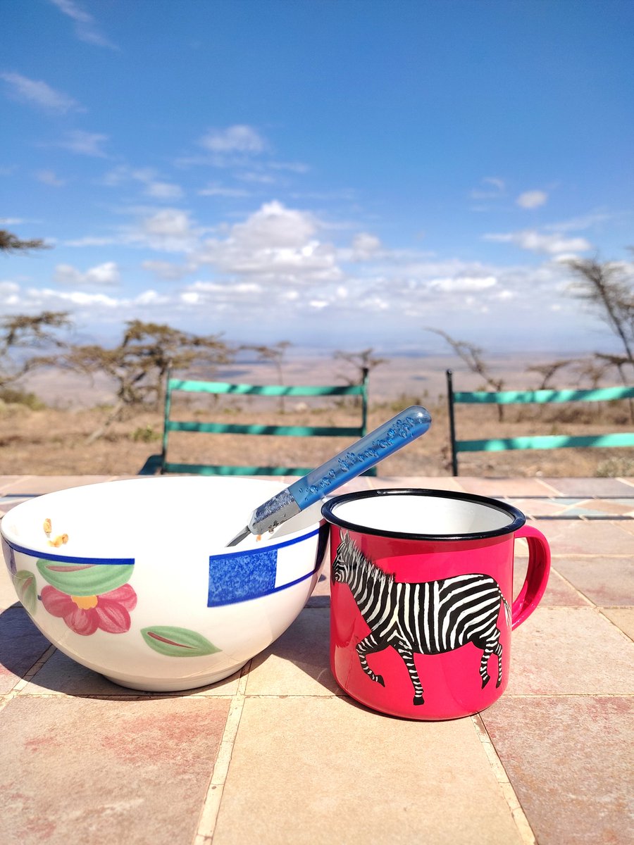 Mamba Expeditions tweet media