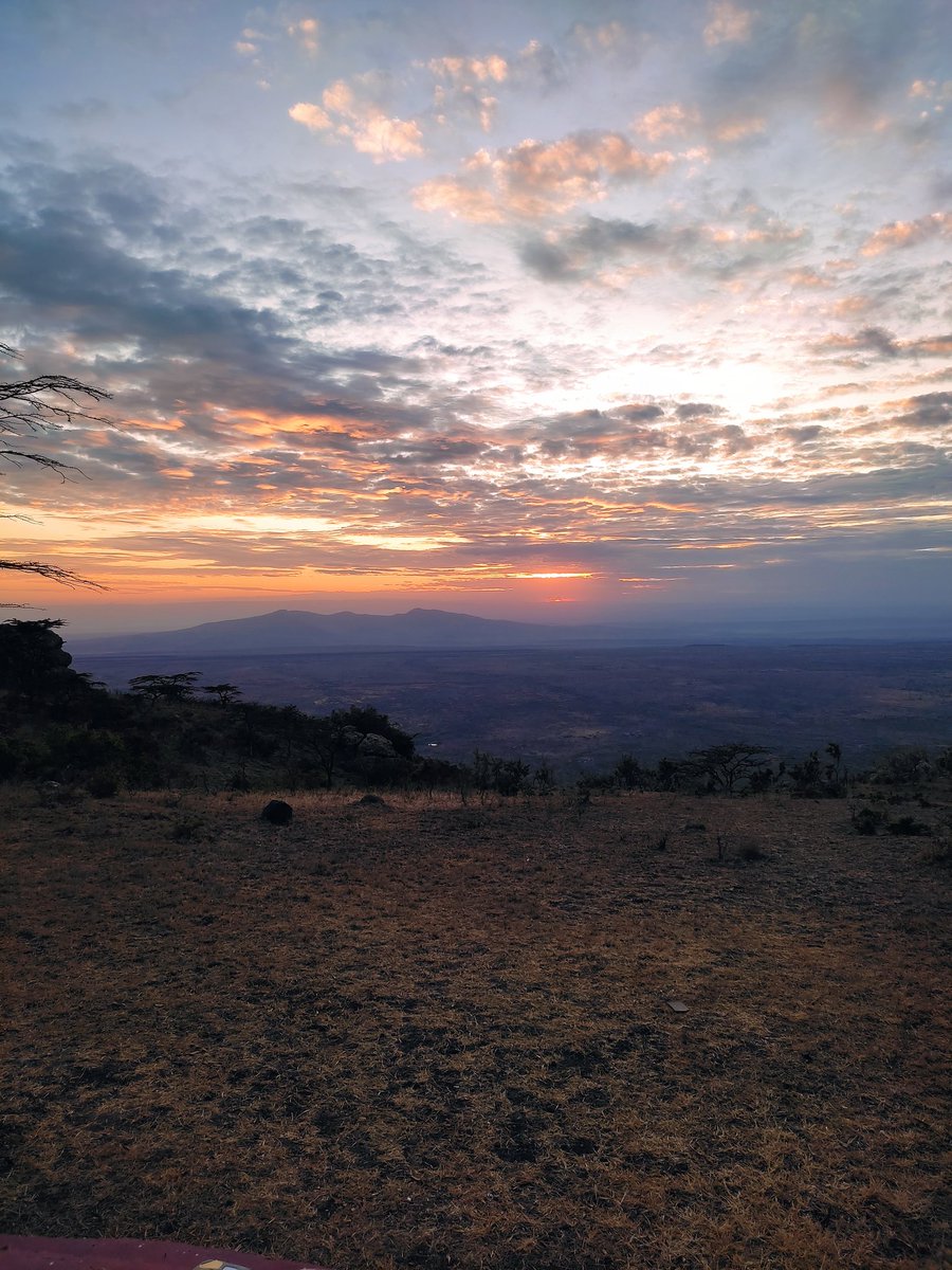 Mamba Expeditions tweet media