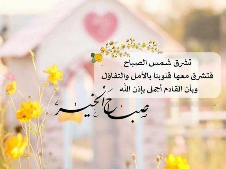 asdalkyly1's tweet photo. https://t.co/hK8zADSwy4