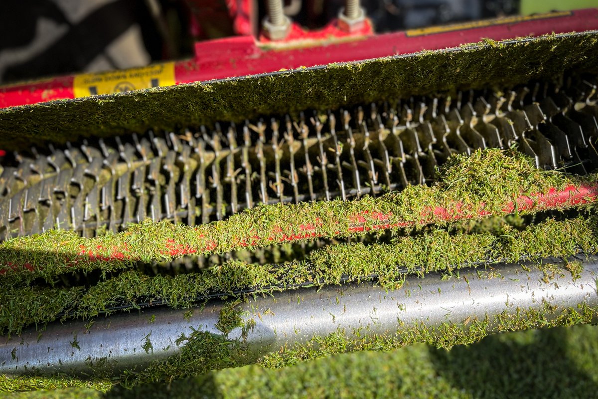 fulfordgolfclub's tweet photo. Verticutting the greens to reduce surface imperfections to ensure golfers experience a truer and more consistent ball roll whilst keeping the surfaces refined
#greenkeeperlife #verticutting https://t.co/4bt90vKsv5