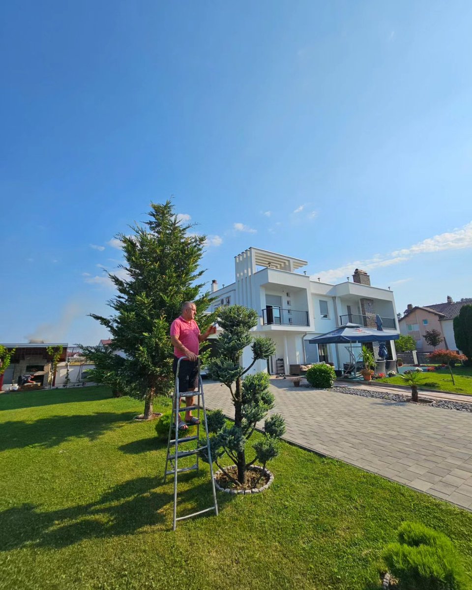 Andi Kastro tweet media