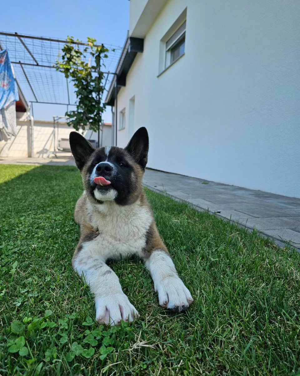 Life is better on the weekends. 🏡