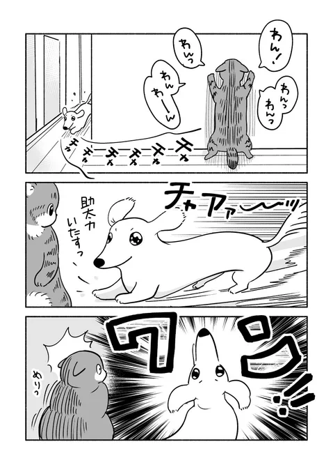 2/2