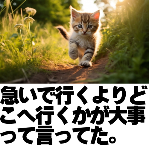 急いで行くより
どこへ行くかが大事って
言ってた。
junglegymshow.com/index_cat_003.…