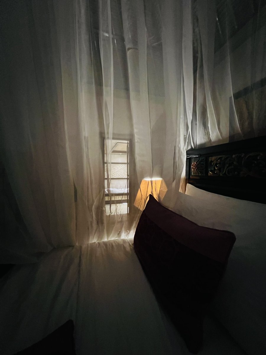 progressupdate_'s tweet image. 이런 삶 유지만 된다면 더 열심히 살아주는거 할 수 있습니다.  (ㅋㅋ) 휴가가기 전에 좀 고민이 여럿 있었다면 사실 우선순위로 처치해야할 고민은 하나라는 걸 몸소 체감하게 됬달까요… 

머리로 알긴 아는데 체감된 산 지식이 되는 것은 역시 다른 문제에요. #경험짱 여러분 굳밤 😘