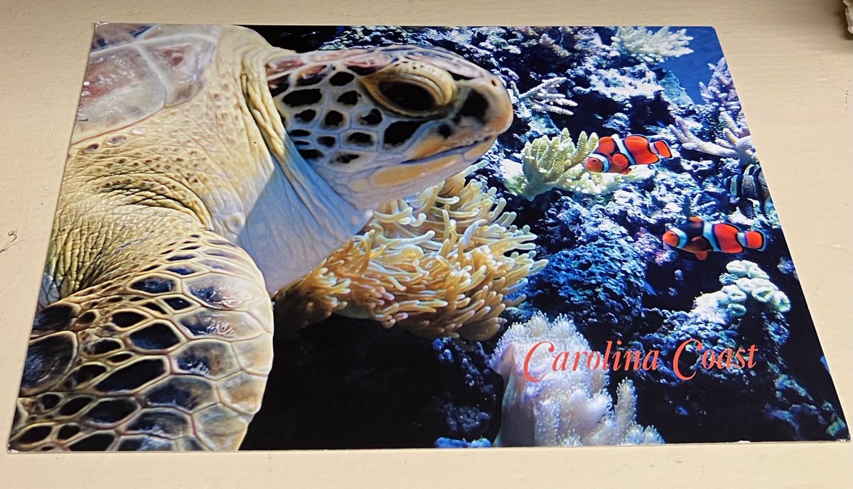 Will White tweet media