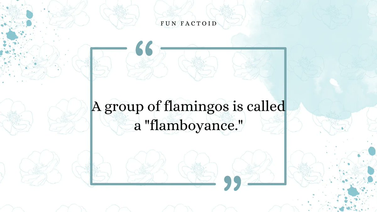 Good morning folks. It's our second day at the St Ives Guild Hall today.