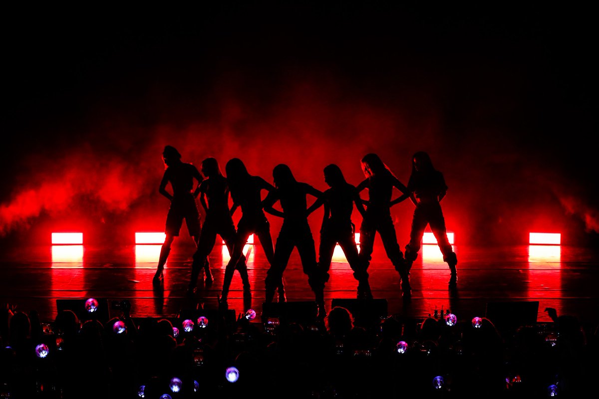 나이나이 🐱 동그리 tweet media