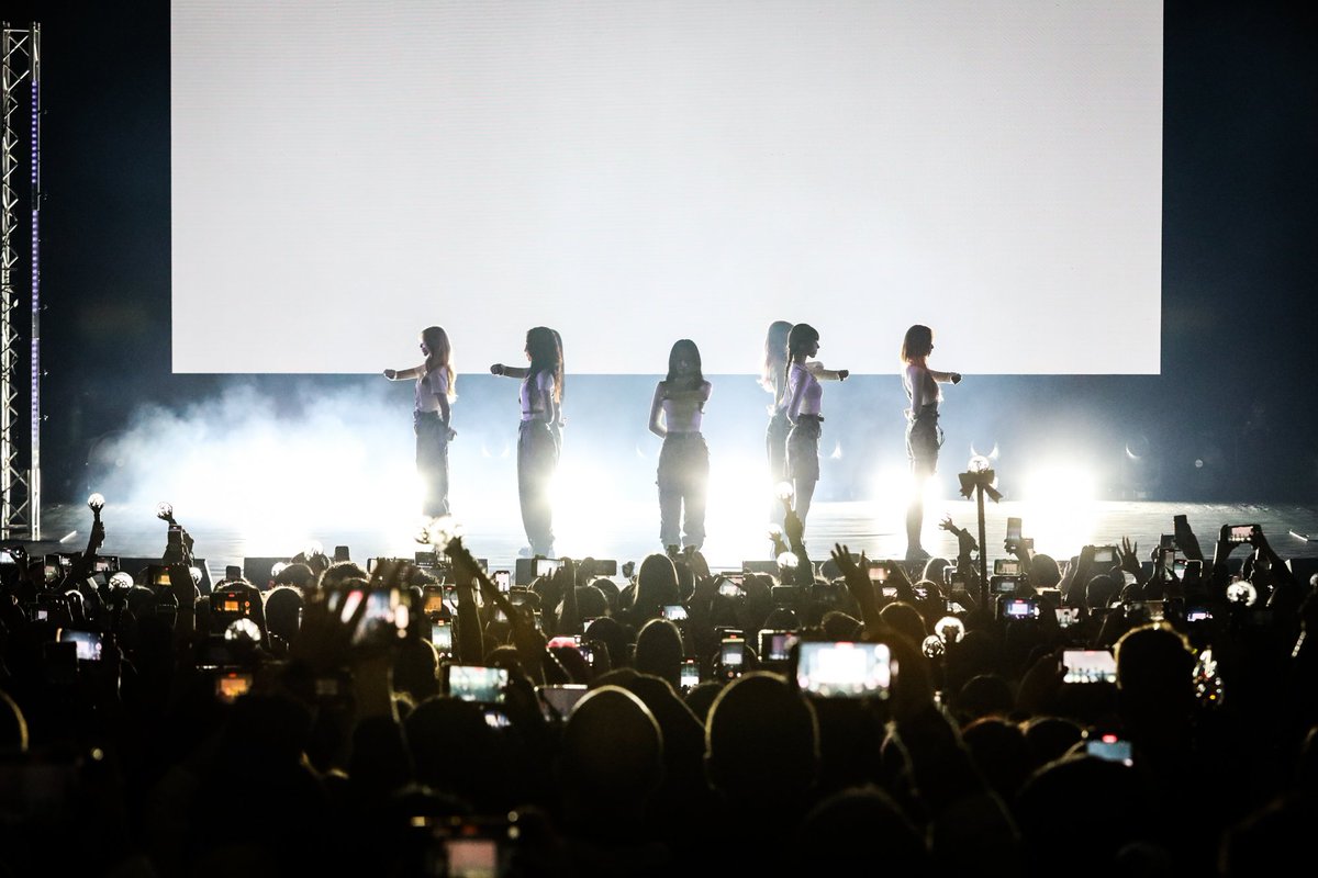 나이나이 🐱 동그리 tweet media