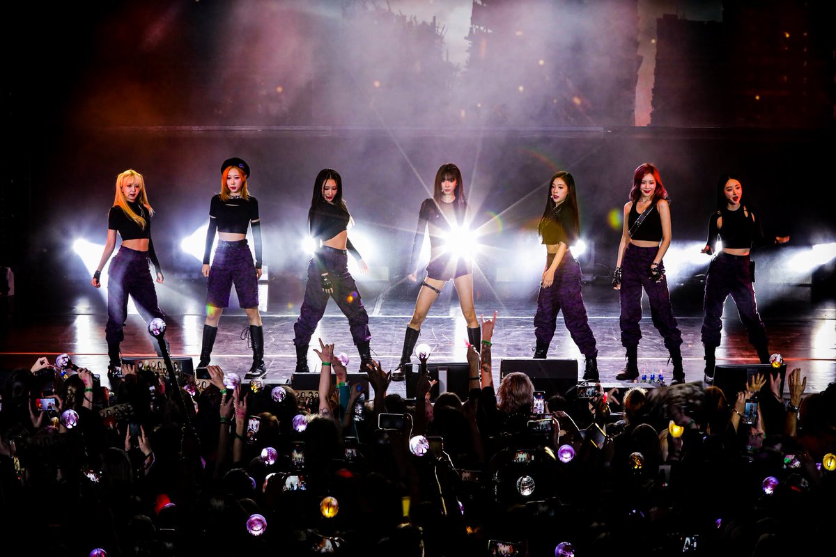 나이나이 🐱 동그리 tweet media