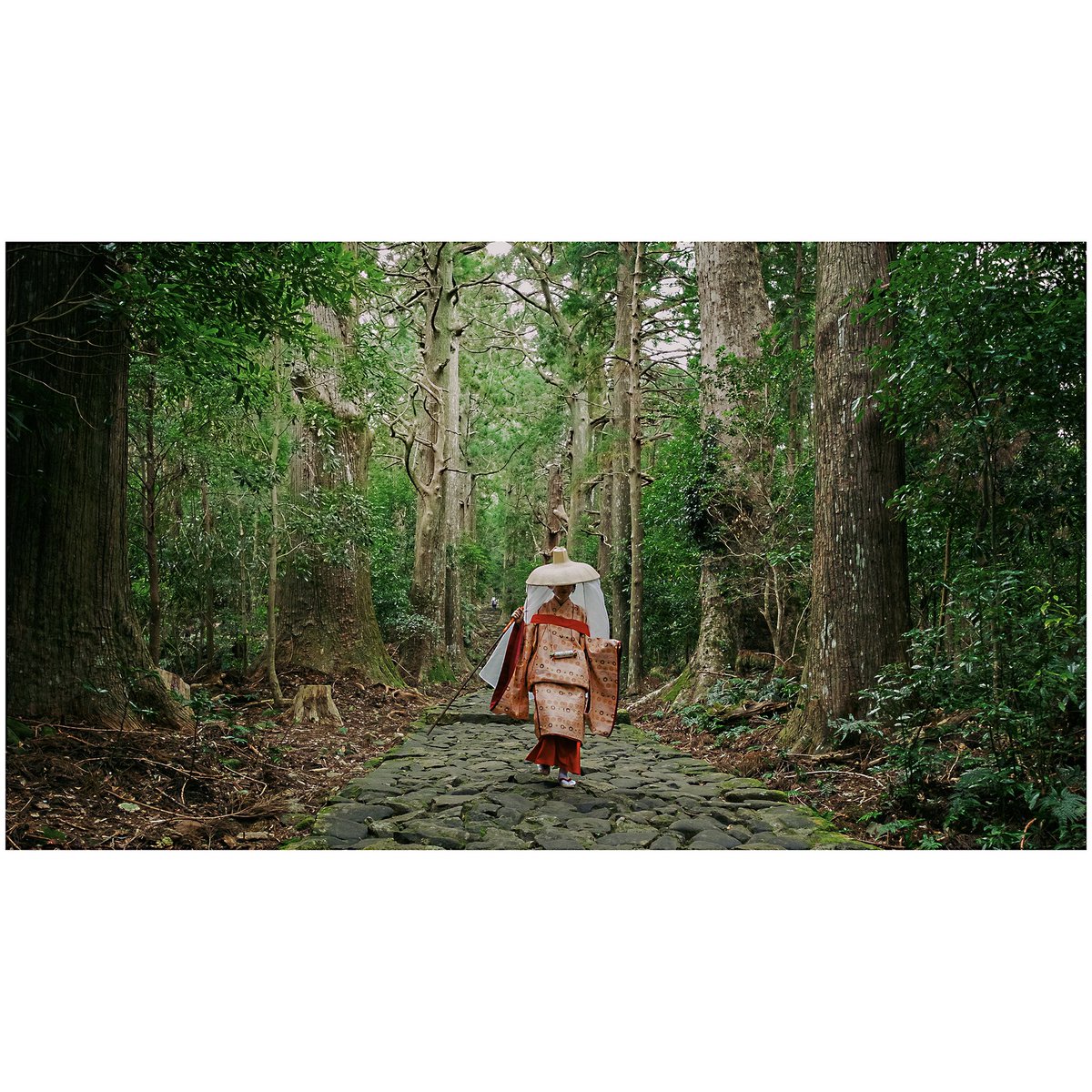 A mountain pilgrim in Wakayama

#iapan #日本 #歌山 #wakayama #美しい #hasselblad  #createtoinspire #x1d #90mm #高野山 #thisismyjapan #japanculture #lensculture #photo_travelers #visitjapan #discoverjapan #ilovejapan #explorejpn #japangram #japanlife #japandailies #raw_japan