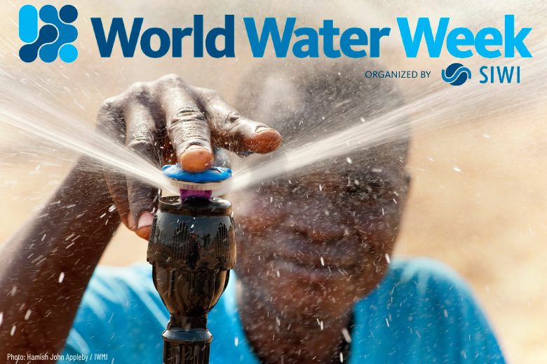 💧Today marks the start of World Water Week under the theme “Seeds of change: Innovative solutions for a water-wise world.” This week invites us to rethink how we manage water. See FIP's work on environmental sustainability👉🏻 sustainability.fip.org