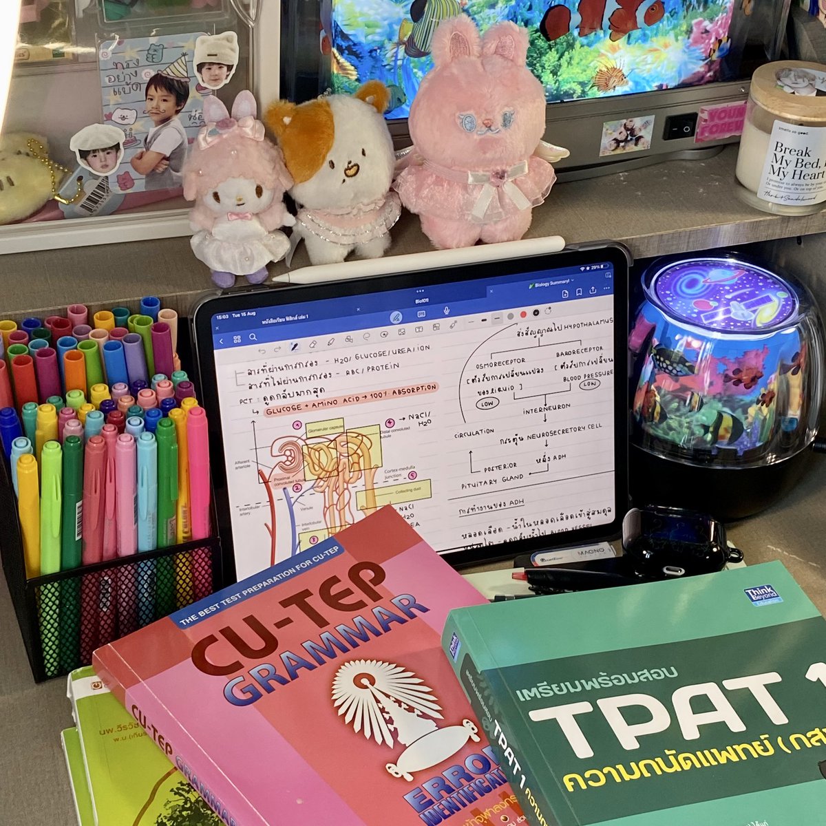 Bibbidiboooh's tweet photo. (#jormorrupdate) ⛅️
หลังจากไม่ได้อัพเดทมานาน ตอนนี้เรากลับมาเตรียมตัวสอบอีกครั้งแล้ว เราตัดสินใจลาออกจากคณะเภสัชเพราะอยากจะเข้าคณะที่ชอบจริงๆ ตอนแรกตั้งใจว่าจะเรียนคณะนี้ไม่ซิ่วแล้วเพราะเหนื่อยมากๆ แต่พอได้ลองเรียนจริงๆแล้วเราได้รู้ทันทีเลยว่าไม่เหมาะกับเราเลย • ᴗ •̥ ˳ ˳ https://t.co/PGfuVYgMSd