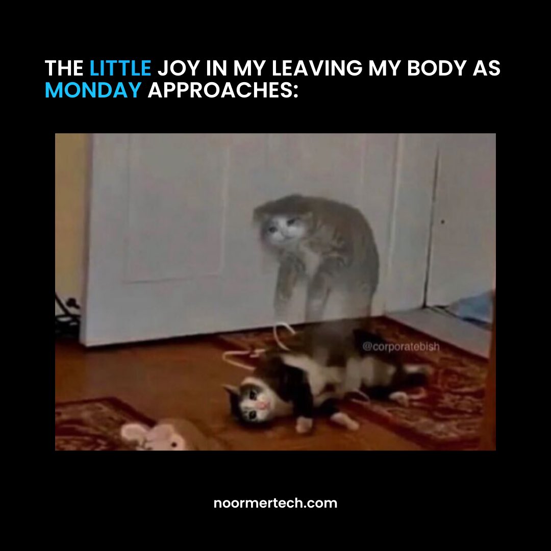NoormerTech's tweet photo. And it’s only Wednesday today. 😞

Why does the weekend fly by so damn fast? 

Share with your fellow colleagues! 

#noormertech #memes #memesdaily #tech #techmemes #corporate #corporatelife #corporateworld #business #ecommerce #digitalworld https://t.co/b6SlkXxjZa