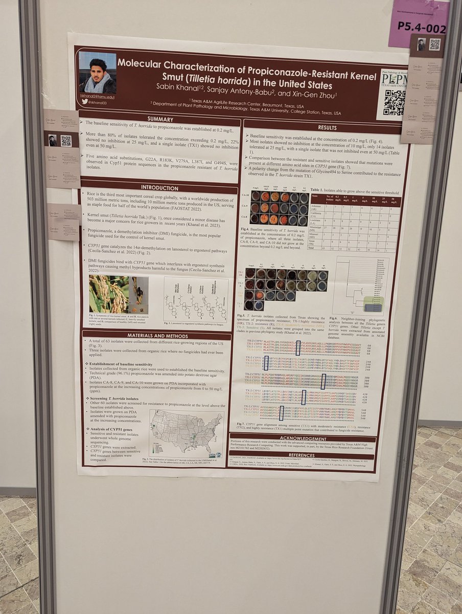 Poster 2 up and running <a href="/icpp2023/">ICPP2023</a> 
Find me or just a poster at p5.4-002!!
#icpp2023 #icpp