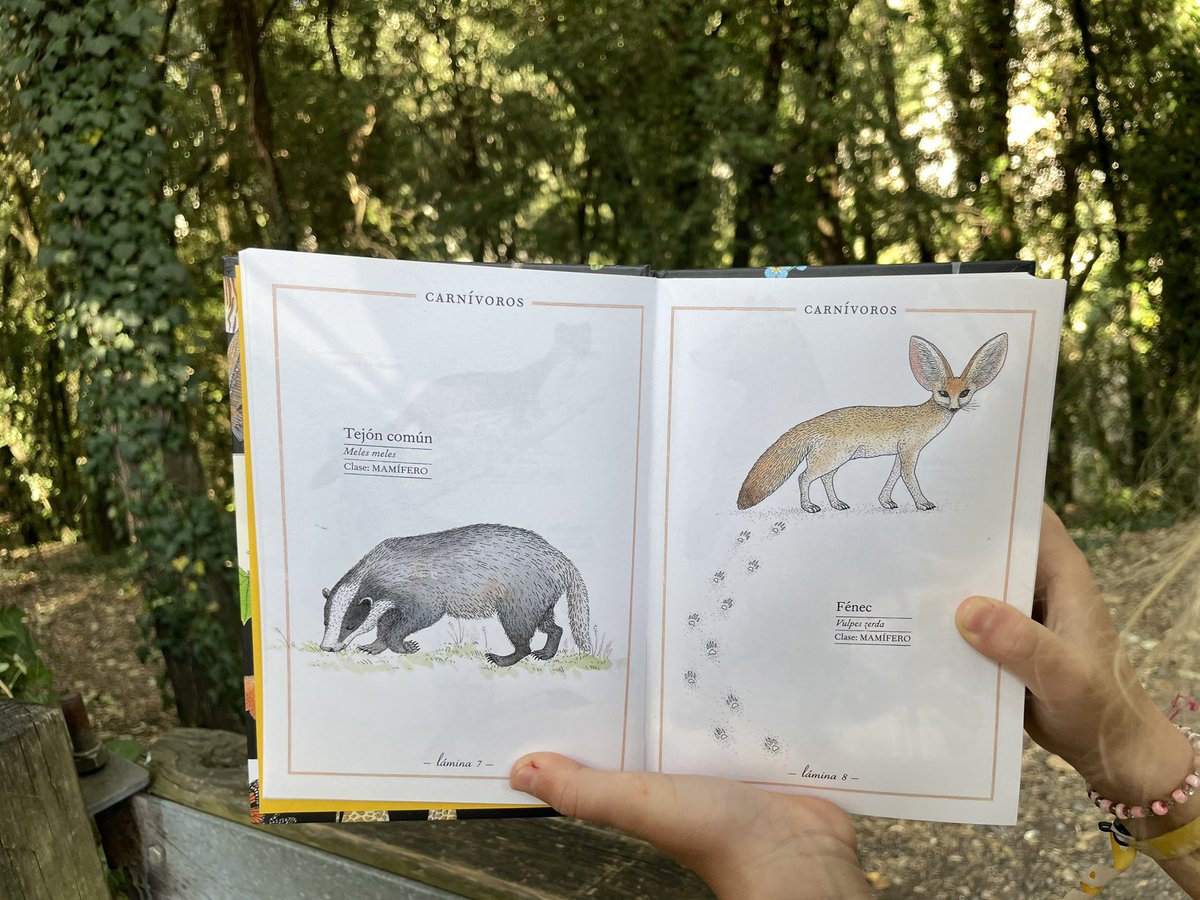 Infanmusic's tweet photo. Bellezas de la naturaleza de Virginie Aladjidi, Emmanuelle Tchoukriel. 

Mirad sus láminas por dentro https://t.co/NUP2iQ1eDo