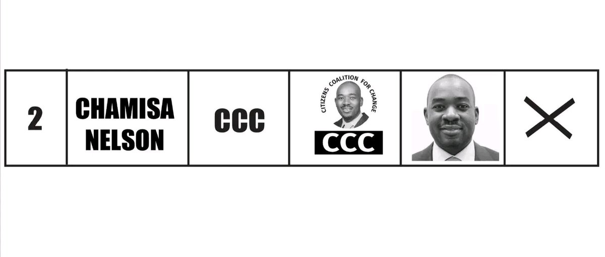 YES ! <a href="/nelsonchamisa/">nelson chamisa</a> is Number 2 on the ballot paper. We need every Zimbabwean to know. Already many are in queues and the atmosphere of Change is everywhere. On Number 2 place your X for jobs, dignity, economic &amp; political stability ! 

Can we get 1 000 -RETWEETS 💛