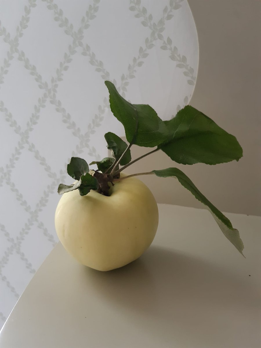 MarinaW64's tweet photo. Suurlähettiläspäivien jatkoilla #ykliitto puhutti yksi asia - ei paljon YKsta sanota, linjata tai mainittu. Ministereiden tai johdon osalta. Onko tähän jokin syy? Monenvälisen järjestelmän kulmakivi on edelleen YK - FN. @UN Sitä tulee kehittää tottakai! @HSaavalainen @saarasofia https://t.co/pzXMhzokle