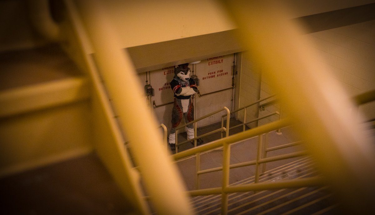 KooperShiba's tweet photo. What happens in the backrooms...

👁️ 𝘴 𝘵 𝘢 𝘺 𝘴 👁️ https://t.co/XS9loBFwzE
