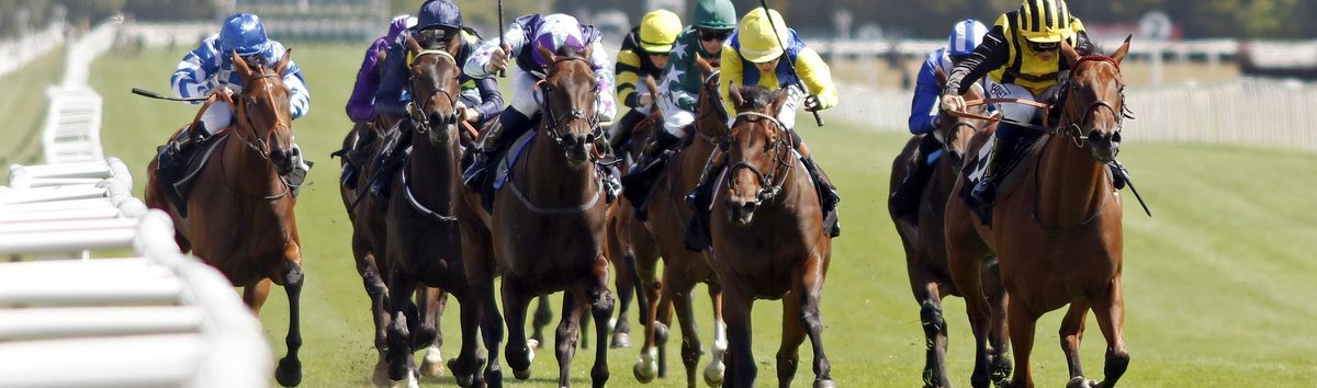 KunjappyHer's tweet photo. #CommunityRaceDay :- Last call,
Are you an aspiring singer, dancer or musician, want to be part of the Community United and Newbury Racecourse Concert on August 29th at Newbury Racecourse, get in touch today by 5.00:- 📧: hello@communityunited.uk. #CommunityGotTalent #Newbury https://t.co/ucpBRkGMYN