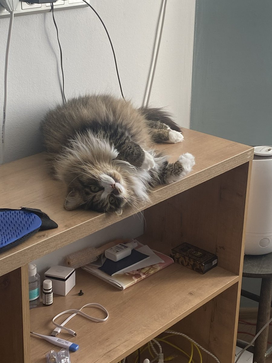 jerquejerk's tweet image. 