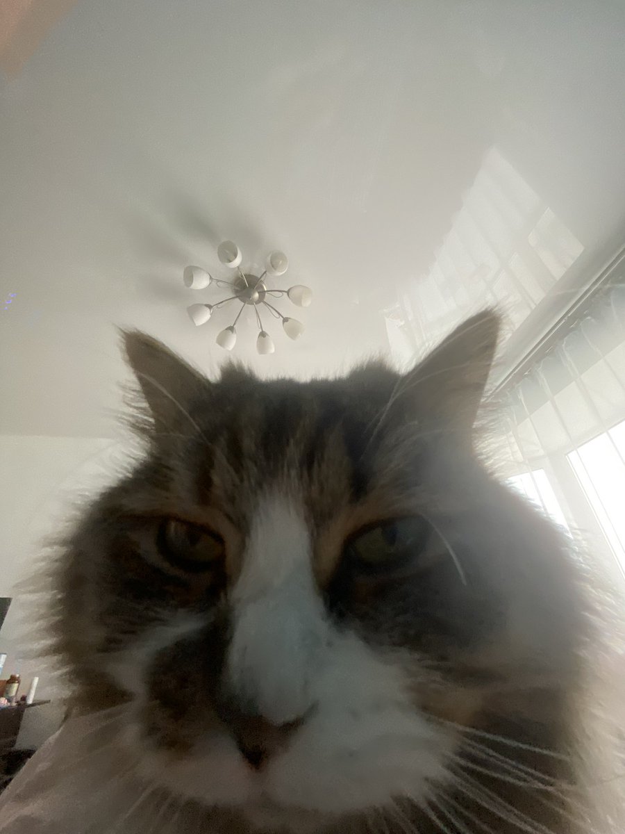 jerquejerk's tweet image. 