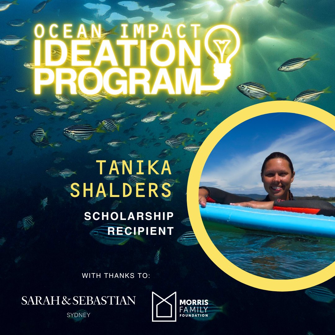 TanikaCShalders's tweet photo. Excited to announce that I’ve received a fully-funded scholarship from @oceanimpactorg for their #OceanImpactIdeationProgram! I’ll be joining other ocean academics in gaining the foundations needed to commercialise solutions. https://t.co/5G43WLe68U