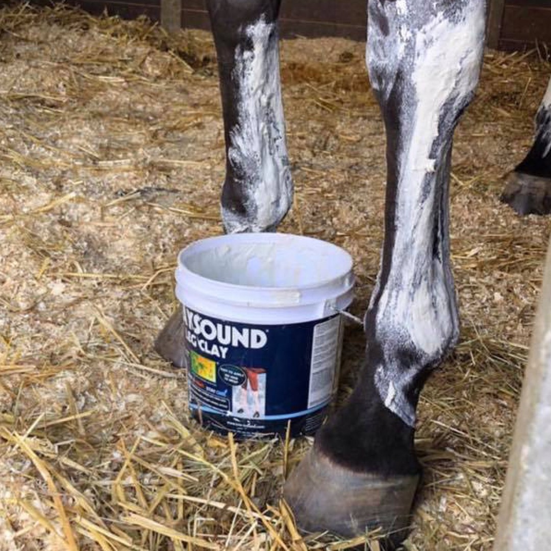 TRMNutrition's tweet photo. 🧊 𝐒𝐓𝐀𝐘𝐒𝐎𝐔𝐍𝐃® has a highly effective cooling action, which is very beneficial for hot, tired legs, especially during demanding times of training and competition. 🧊

https://t.co/YzVusKstcw https://t.co/yd0bcysnSU