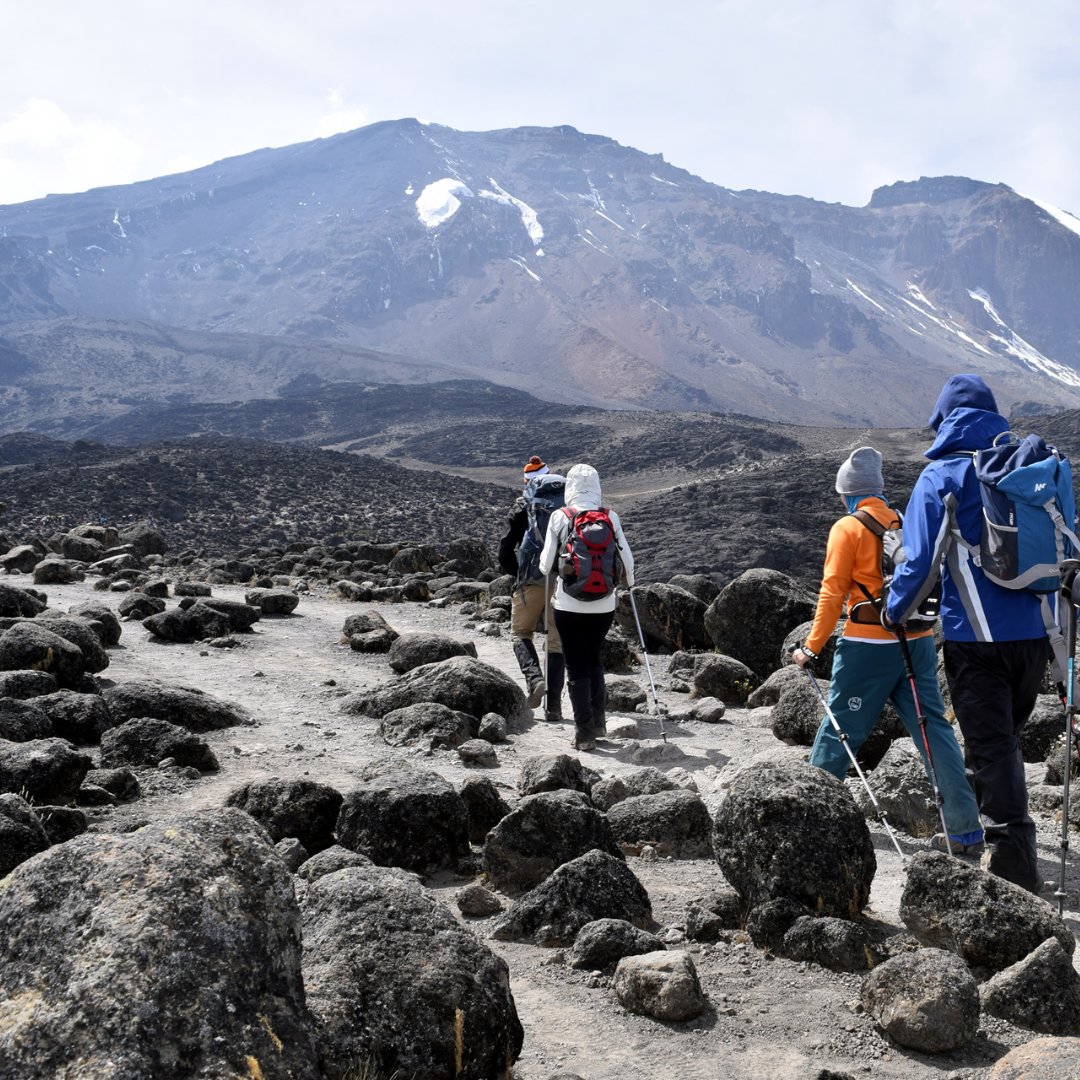JerryTours's tweet photo. If you are also dreaming of viewing the curvature of the Earth at the top of the World, Climbing Kilimanjaro should be your next travel goal.

visit @ https://t.co/Nle168m17g

Book now

Email: info@jerrytanzaniatours.com

Phone: +255 742 799 217

#Jerrytanzaniatours #Uhurupeak https://t.co/KYadOirldY