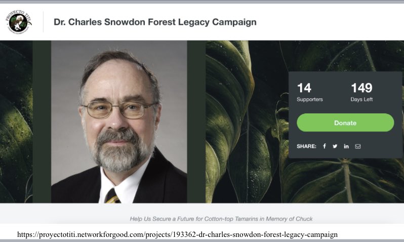 IPS_PrimateNews's tweet photo. To honor Chuck Snowdon’s legacy, a fundraising campaign has been launched to expand Los Tities de San Juan to nearly double its size, making Los Tities &amp; Los Colorados the largest expanse of protected forest habitat for cotton-top tamarins in northern Colombia 1/2 https://t.co/1ihTjixkRN