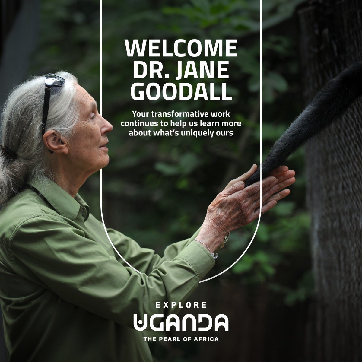 An article in @NatGeo described her as a legendary scientist, conservationist, and humanitarian whose ground breaking discoveries shaped our understanding of what it is to be human. I don't have a better description. Welcome to Uganda @JaneGoodallInst. #ExploreUganda