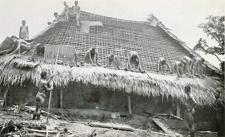 IgboHistoFacts's tweet photo. An amazing picture of Ndi Igbo building house collectively for one another free. In the olden days, life was so easy. The Igbo lived communal life. When a man get to the age of ịpụ obi, his age grade would contribute in building house for him free. He will also do so to others. https://t.co/srKJJVn7ps