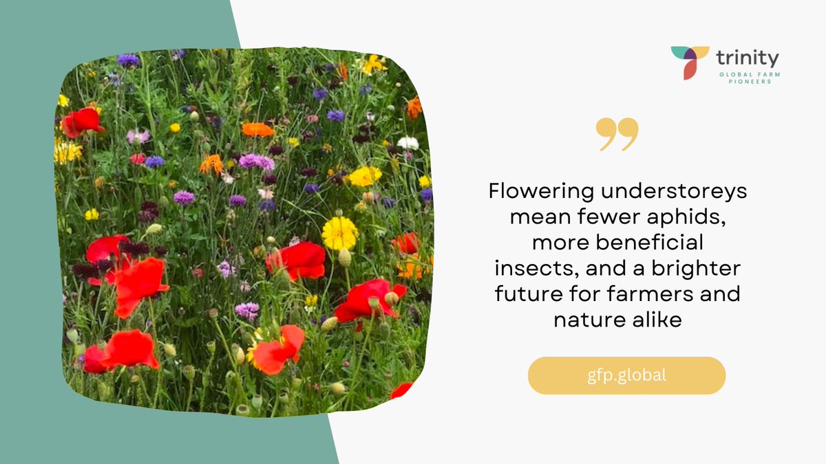 Trinity Global Farm Pioneers tweet media