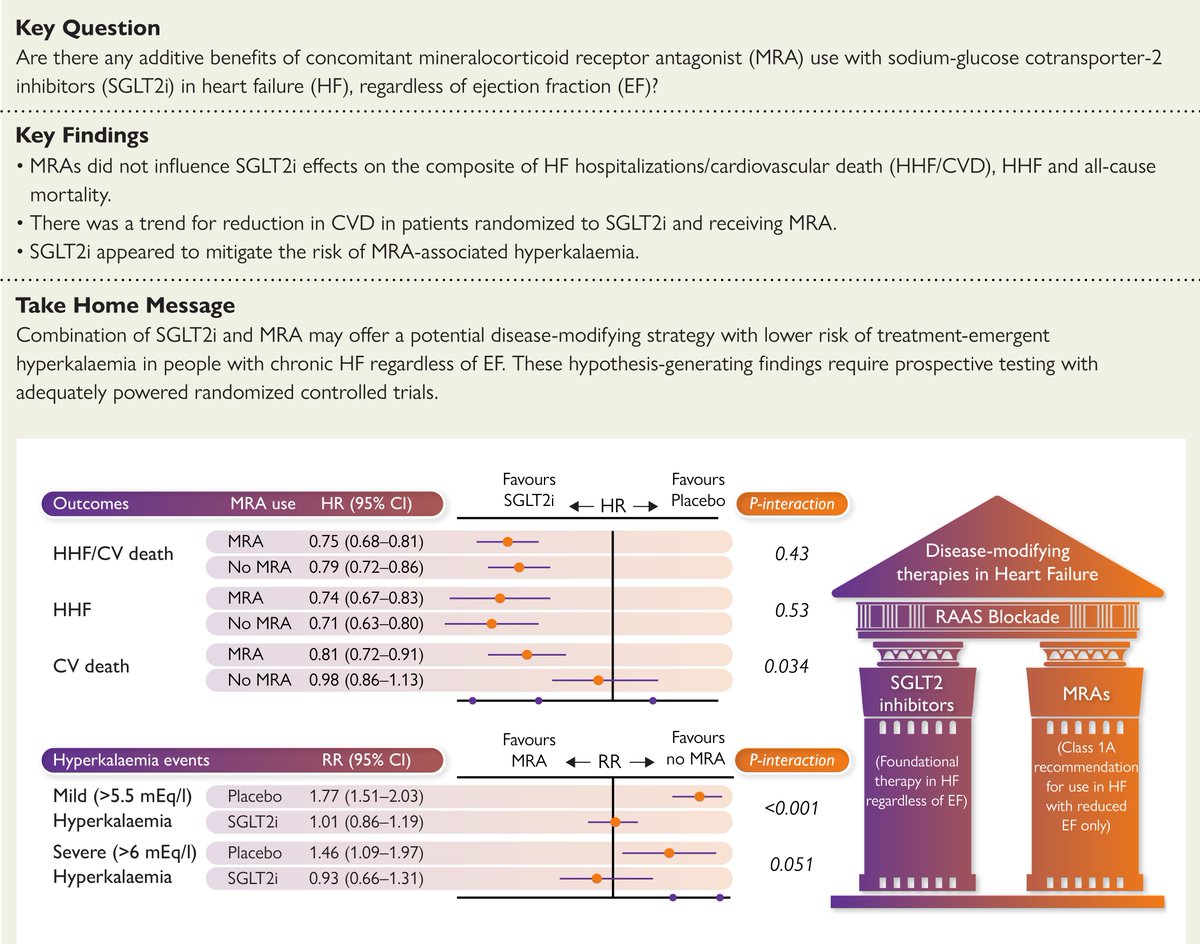 EHJ Editor-in-Chief (@ehj_ed) on Twitter photo The cardiovascular effects of sodium–glucose co-transporter-2 inhibitors with concomitant mineralocorticoid receptor antagonist use in heart failure. Read the latest meta-analysis in #EHJ.
doi.org/10.1093/eurhea…
#heartfailure #mortality #cardiotwitter <a href="/ESC_Journals/">European Society of Cardiology Journals</a> <a href="/escardio/">European Society of Cardiology</a> The cardiovascular effects of sodium–glucose co-transporter-2 inhibitors with concomitant mineralocorticoid receptor antagonist use in heart failure. Read the latest meta-analysis in #EHJ.
doi.org/10.1093/eurhea…
#heartfailure #mortality #cardiotwitter <a href="/ESC_Journals/">European Society of Cardiology Journals</a> <a href="/escardio/">European Society of Cardiology</a>
