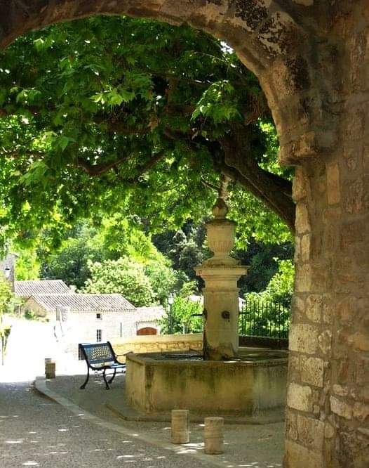 "Celui qui plante des arbres tout en sachant qu'il ne pourra  profiter de leurs ombres, vient de commencer à comprendre le sens de la vie."

Rabindranath Tagore
📷 Le Beaucet - Vaucluse