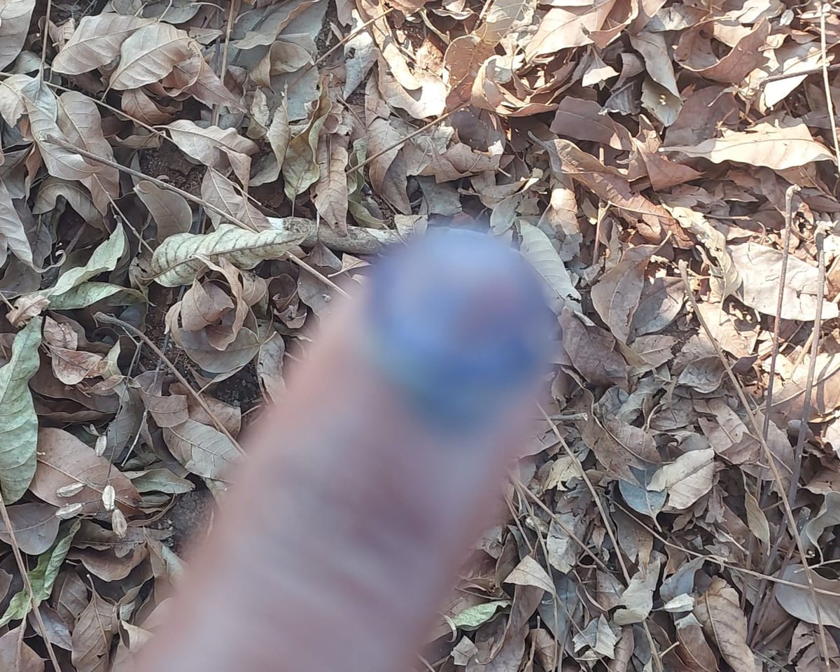 cdechitepo002's tweet photo. #Tapinda tapinda 🎤.
#At Chipinge high school. 
#Tadzifambira 👊🐊
#Cde Mnangagwa pfee
#Cde  Machingura pfee
#Cde  Thondlana pfeee
#Victory is always guaranteed.
#Ichoooooooo ✊🇿🇼
@edmnangagwa.  @2023edpfeeee
@Tinoedzazvimwe1.   @dereckgoto
@ZANUPF_Official  @Varakashi4ED https://t.co/Z5O27fcyOL