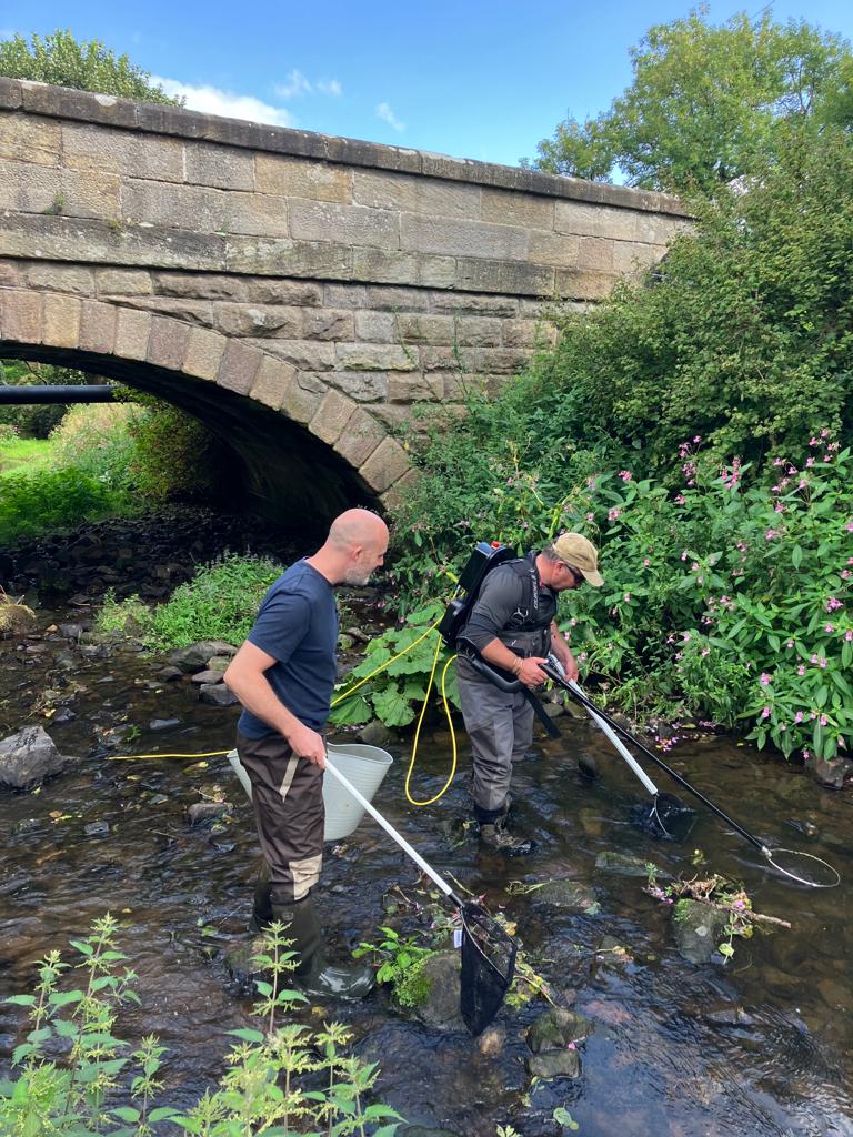 ProfJGrey's tweet photo. Thornton Beck (#Nidd, #TRoUT project @WildTroutTrust) &amp; #volunteers aged 8-80. With #balsambashing, riparian protection, woody material &amp; awareness raising re issues along the beck through the village under their belts + @Riverflies, poss #TroutInTheTown chapter in the making? https://t.co/VWUTYMAj2D