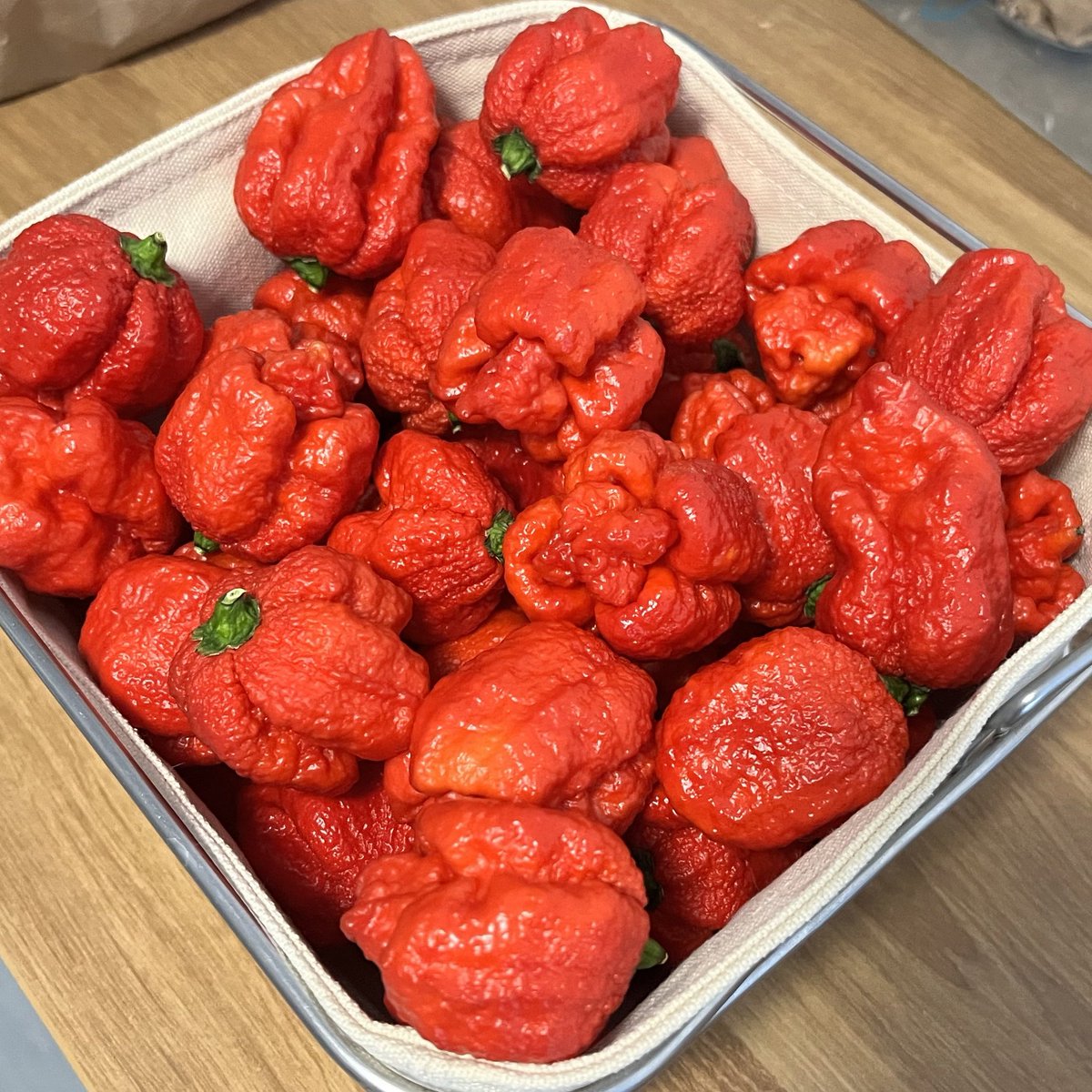 𝔐𝔯.ℜ𝔢𝔡 🌶️ tweet media