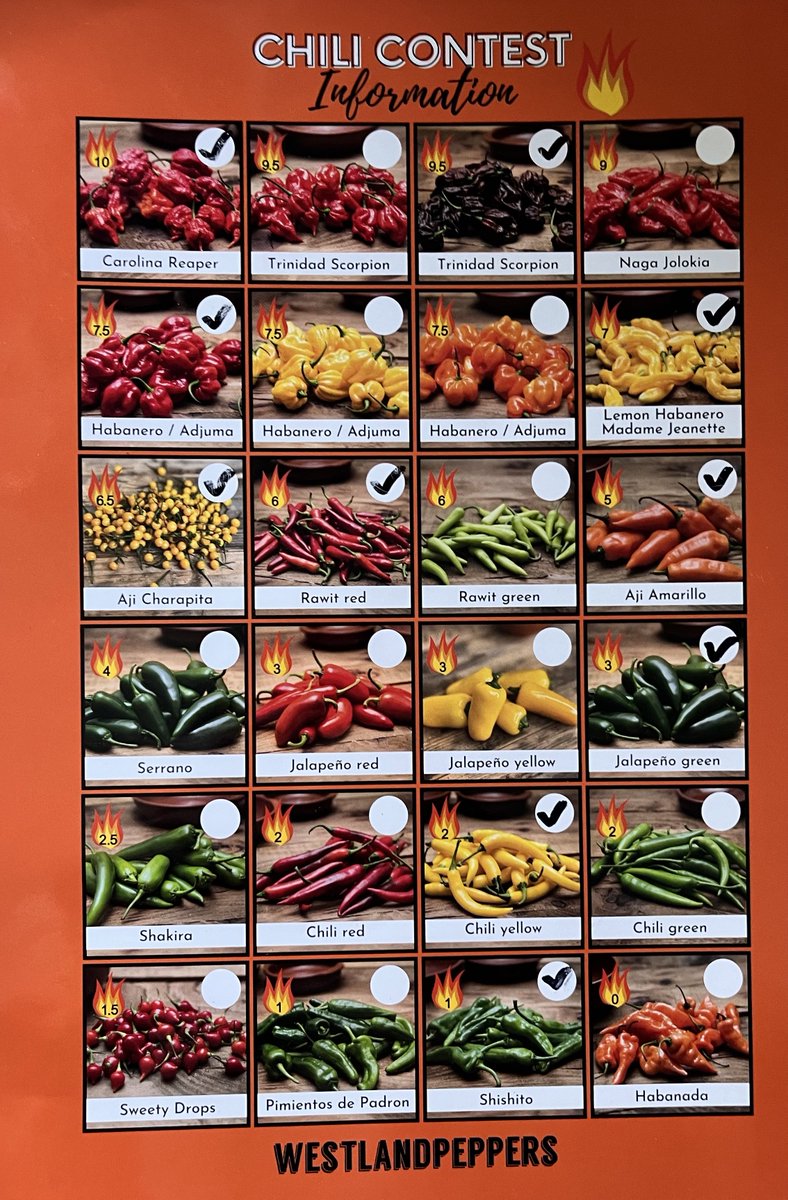 𝔐𝔯.ℜ𝔢𝔡 🌶️ tweet media