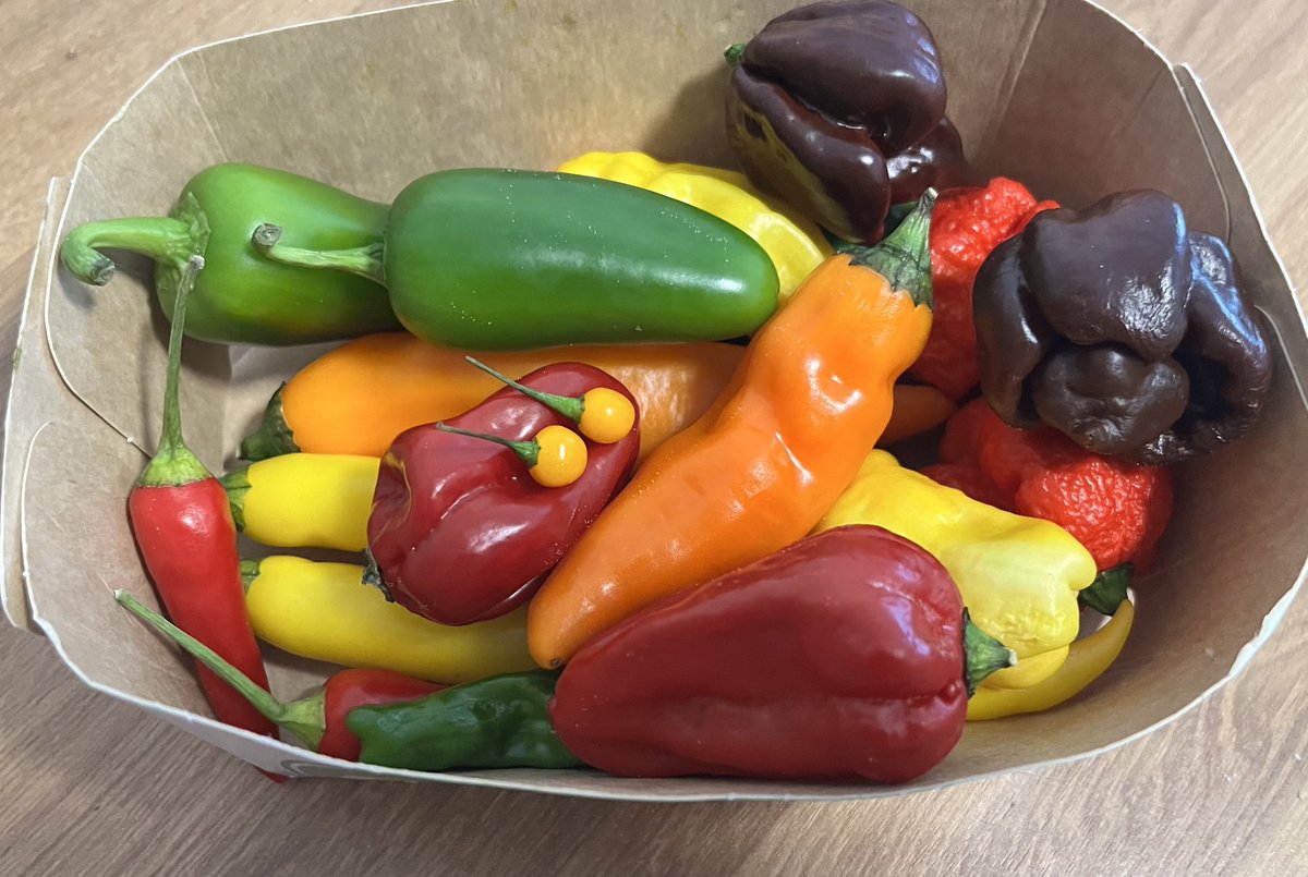 𝔐𝔯.ℜ𝔢𝔡 🌶️ tweet media