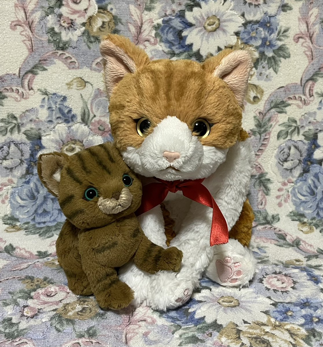 pironosuke_22's tweet photo. やっとやっとやっと会えたにゃあ❣️
キジトラちゃ〜ん❣️🥹💞

#ひざねこ   #とらちぃちゃん   #ぬい撮り 
#サンレモン   #ぬいぐるみの時間 https://t.co/Ra8FP7sAOM