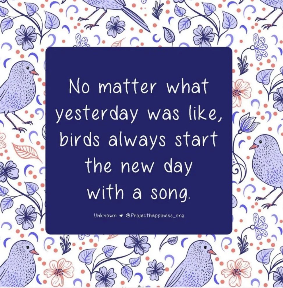 Yvette_Aloe's tweet photo. Good morning.  ✨ https://t.co/9XybGigUSC