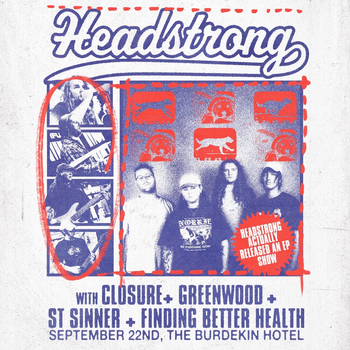 Headstrong tweet media